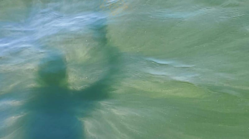 Por Qu&eacute; las Viejas Historias No Pueden Seguir Mandando